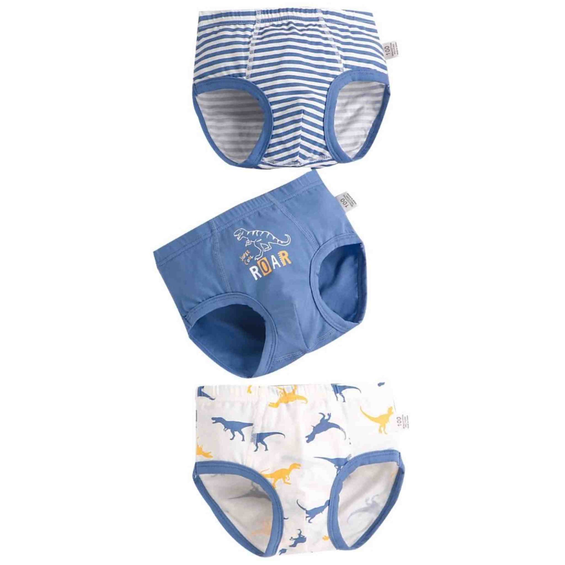 3 Piece Boy Brief Set (Dino) - Rocky and Jules